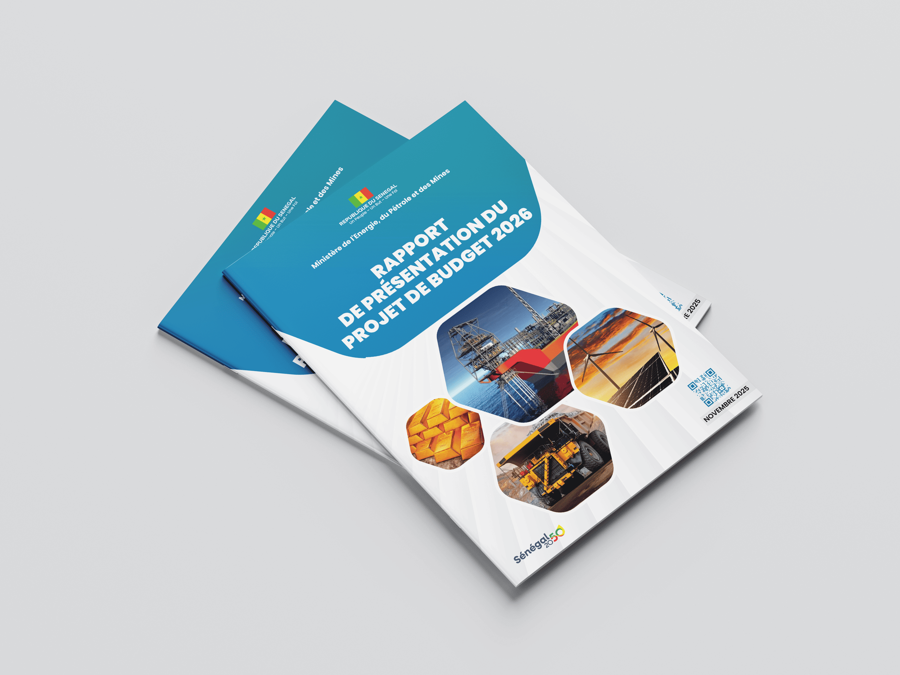 CONCEPTION & PRINT RAPPORT ET FICHES - PROJET « C’EST LA VIE 2.0 »
